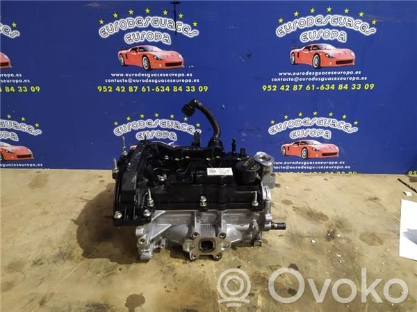 Engine head   DM5G6007LC