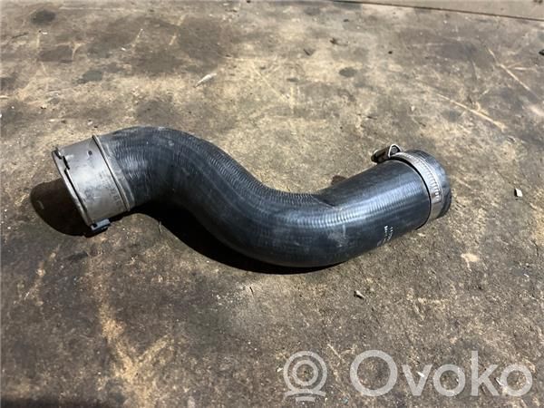 Nissan Juke I F15 Tubo flessibile intercooler 