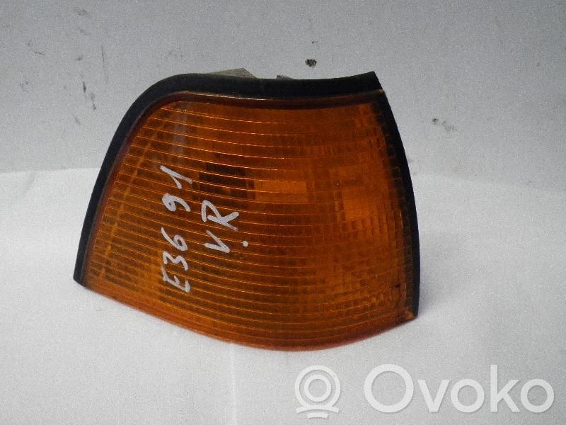 Front indicator light   1387044