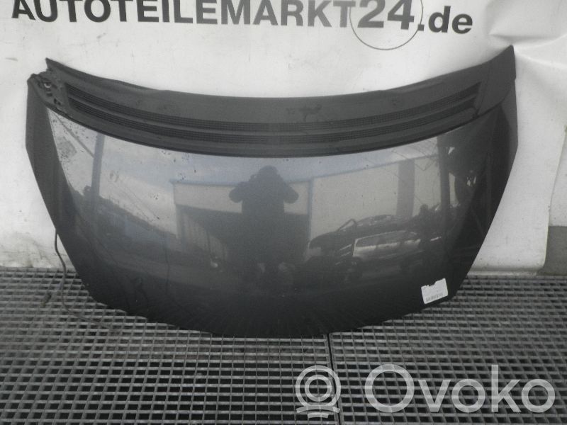 Konepelti   651000267R