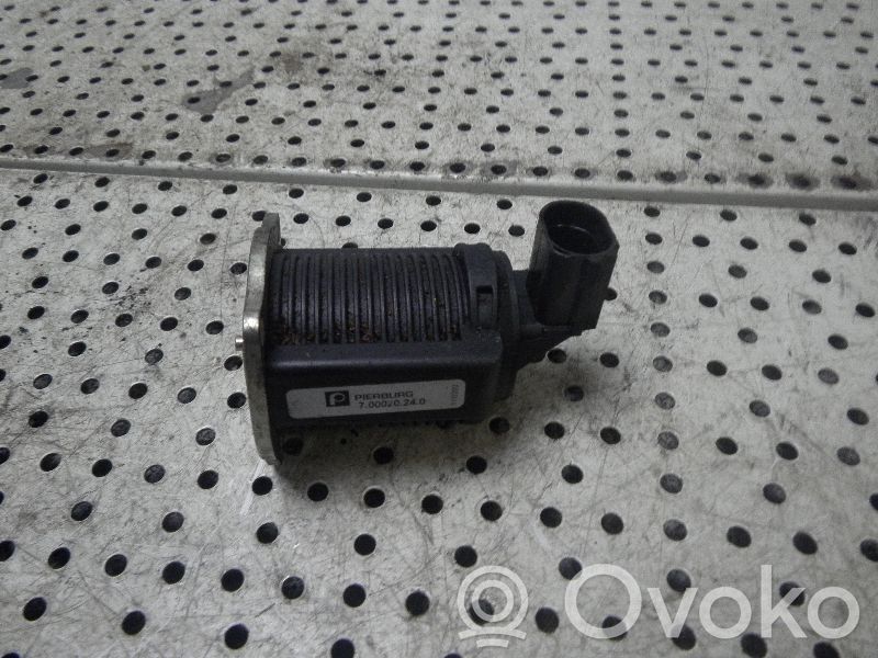 Válvula EGR   700020240