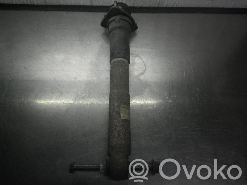 Stoßdämpfer hinten   33521094046