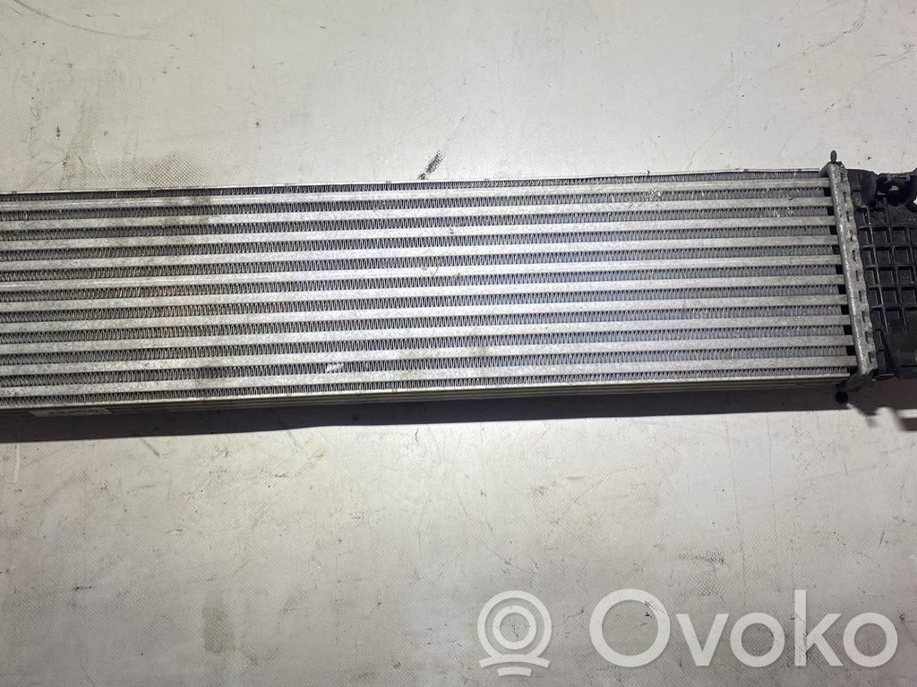 Intercooler radiator   Y3401005