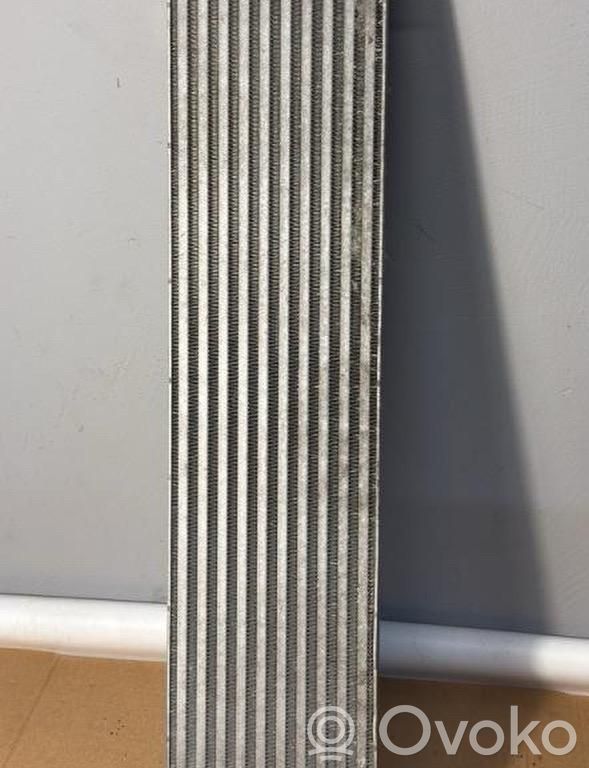 Intercooler radiator   Y3401005