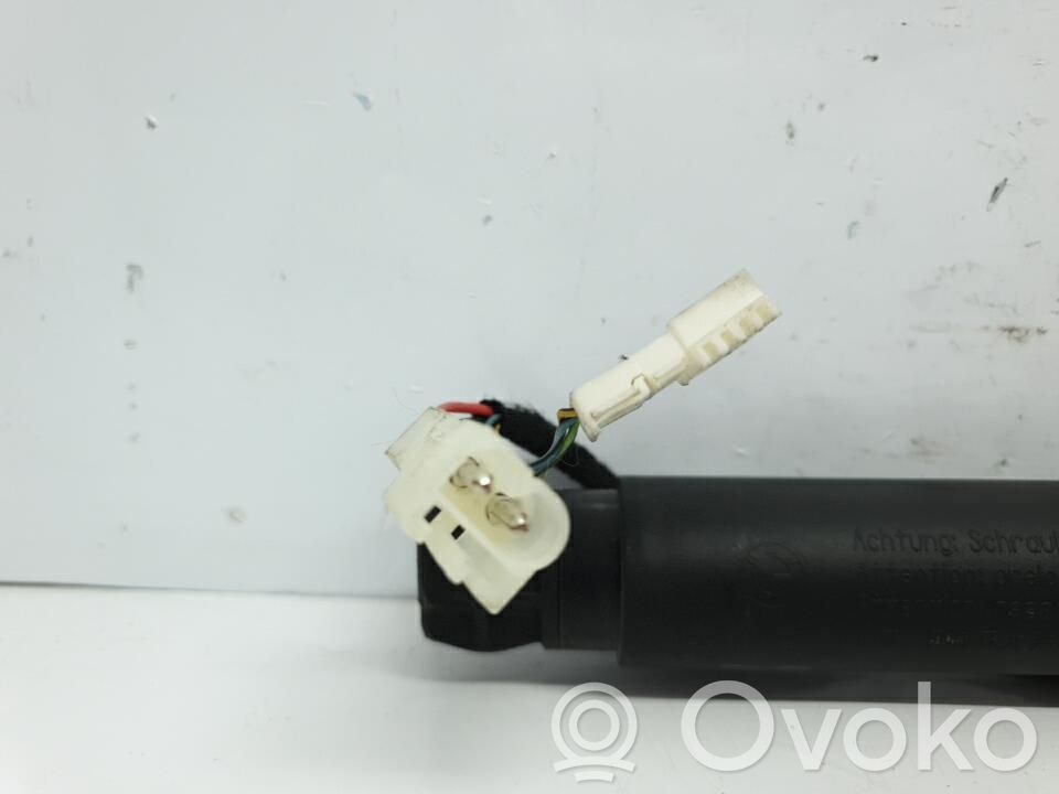 Tailgate/trunk strut/damper   51247332695