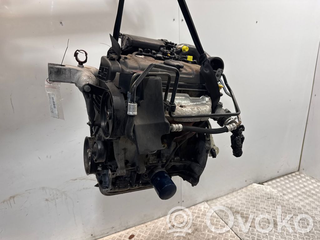 Peugeot 206 Variklis 