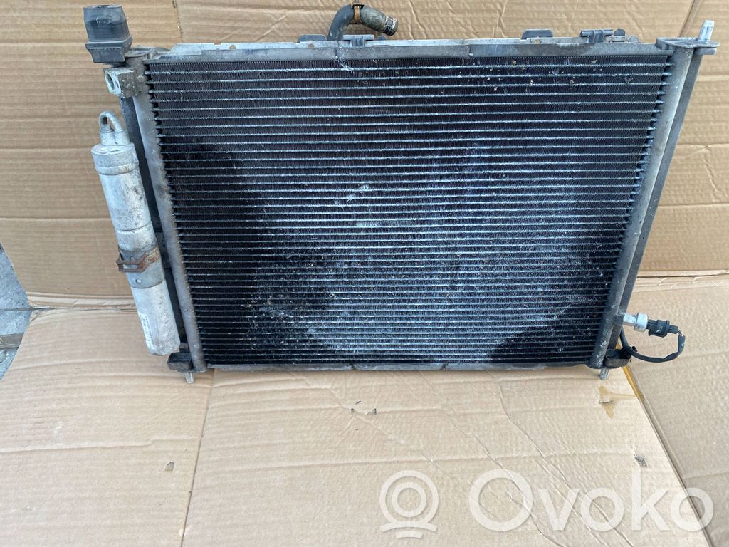 Renault Clio III Radiator lichid răcire 