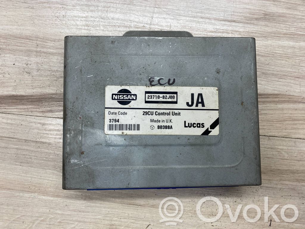 Nissan Primera Engine control unit/module 