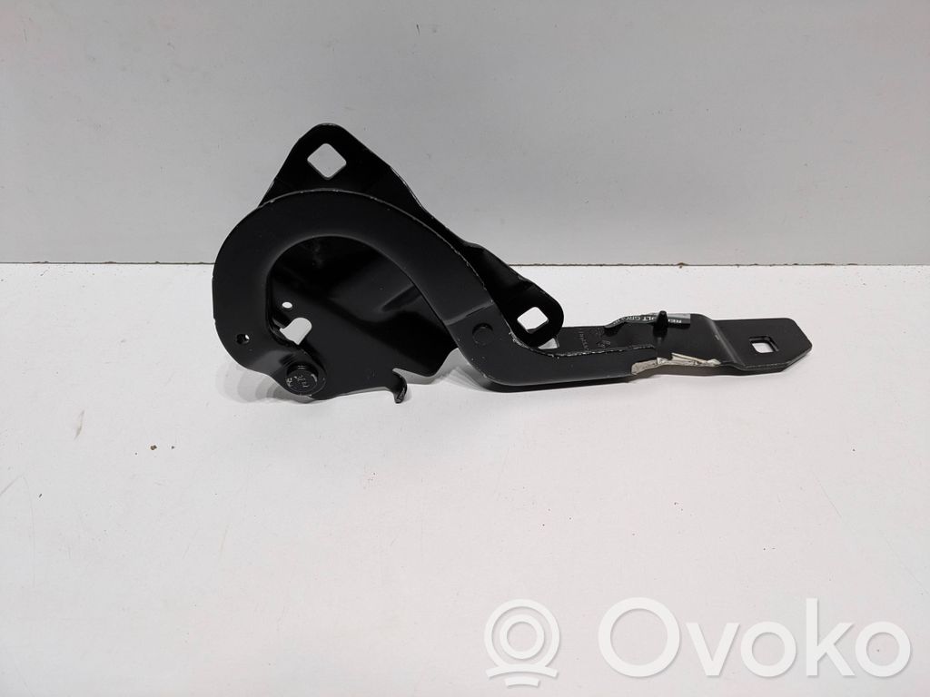 Renault Zoe Engine bonnet/hood hinges 