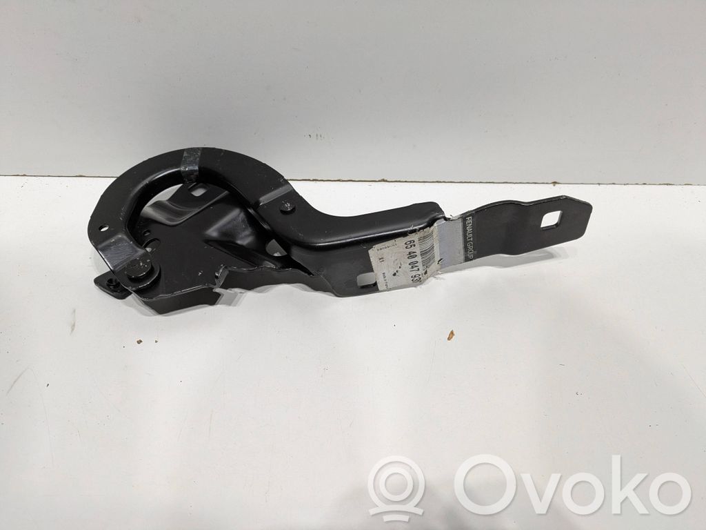 Renault Zoe Engine bonnet/hood hinges 