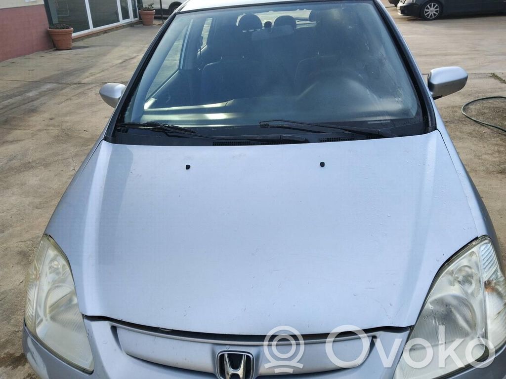 Engine bonnet/hood