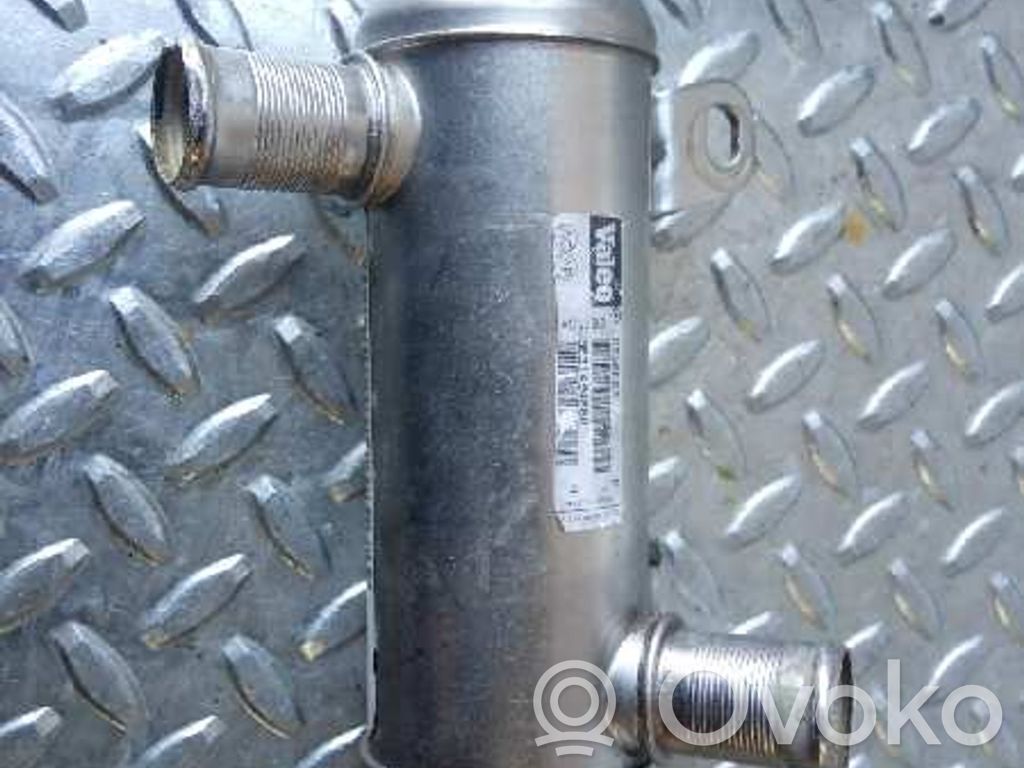 Peugeot 406 Valvola di raffreddamento EGR 