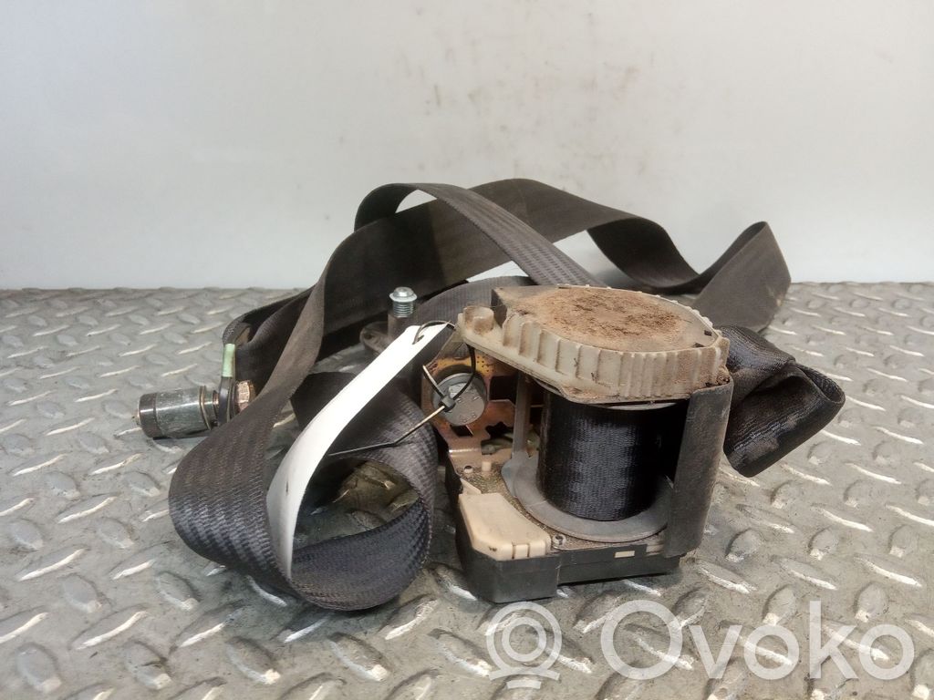 Cinturón trasero