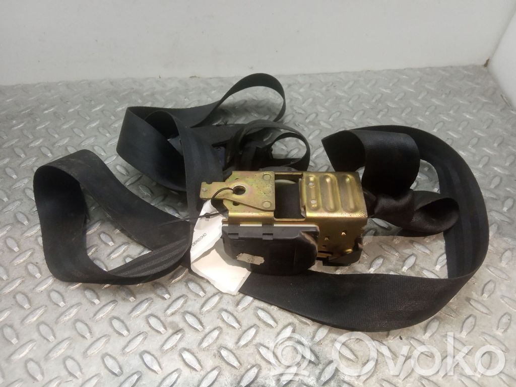Cinturón trasero
