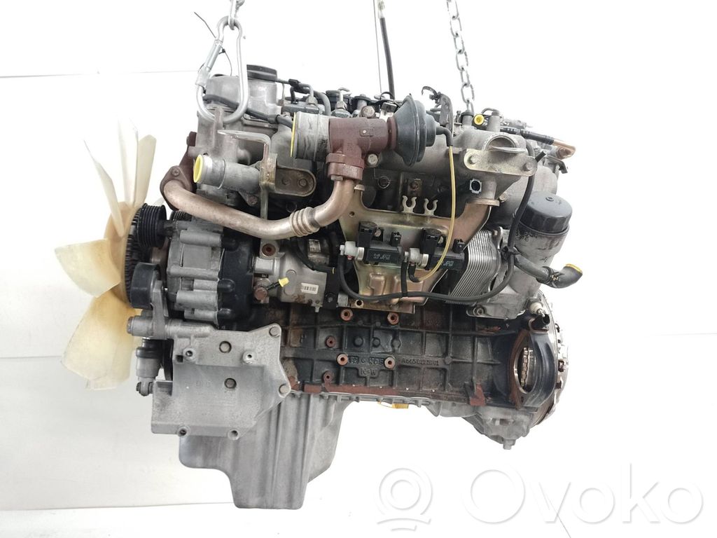 Motor   D27DT