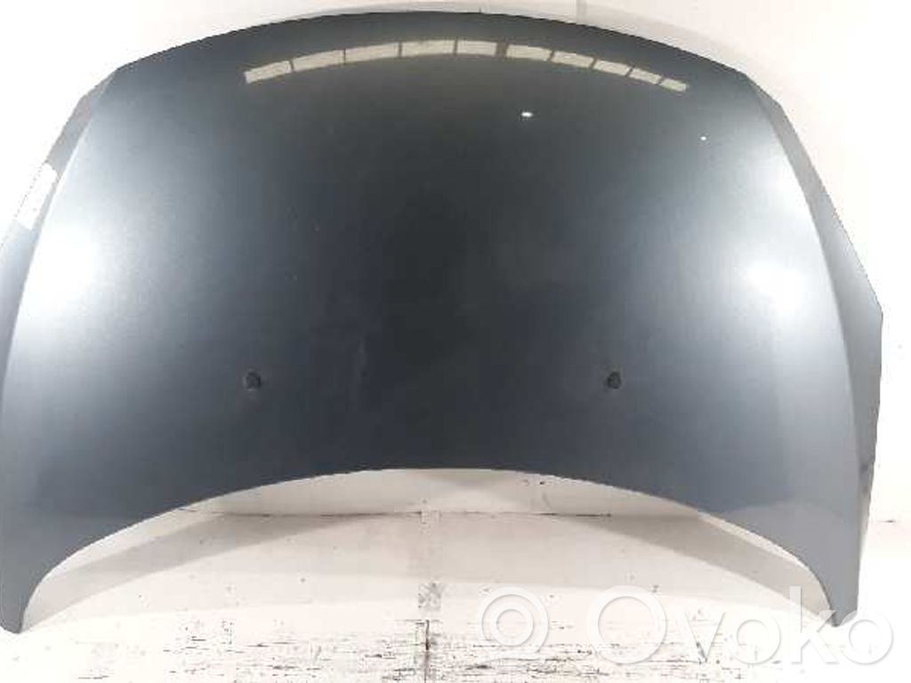 Motorhaube   7901L9