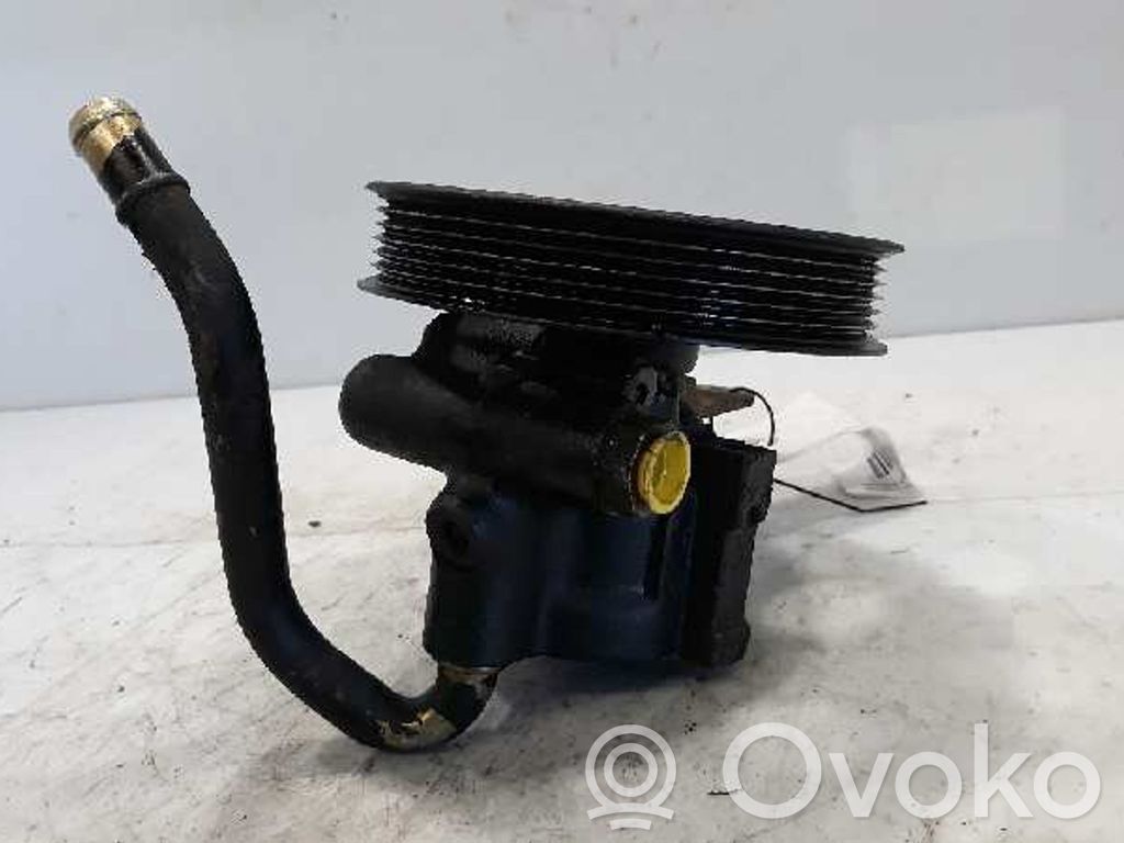 Power steering pump   2604,4955
