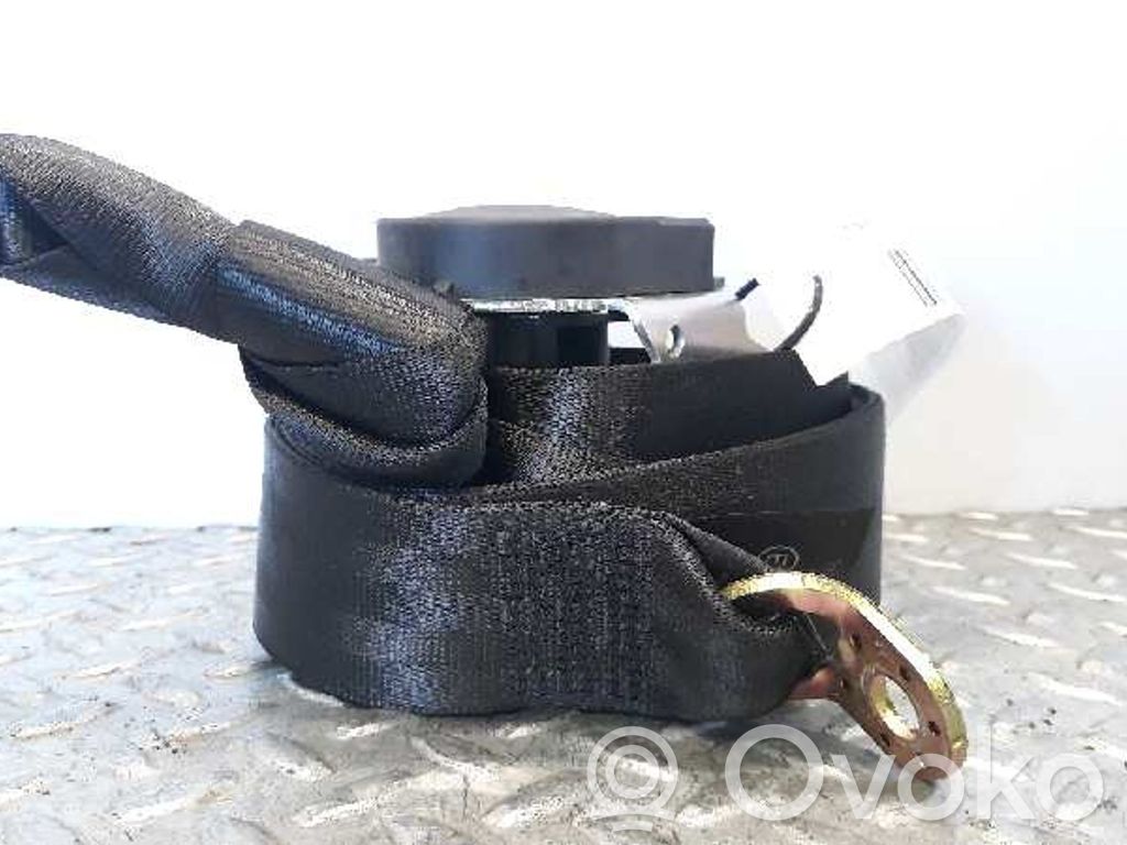 Cinturón trasero