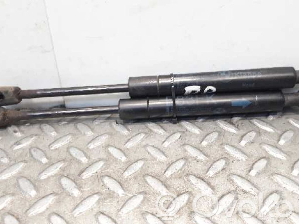 Gasdruckfeder Dämpfer Motorhaube