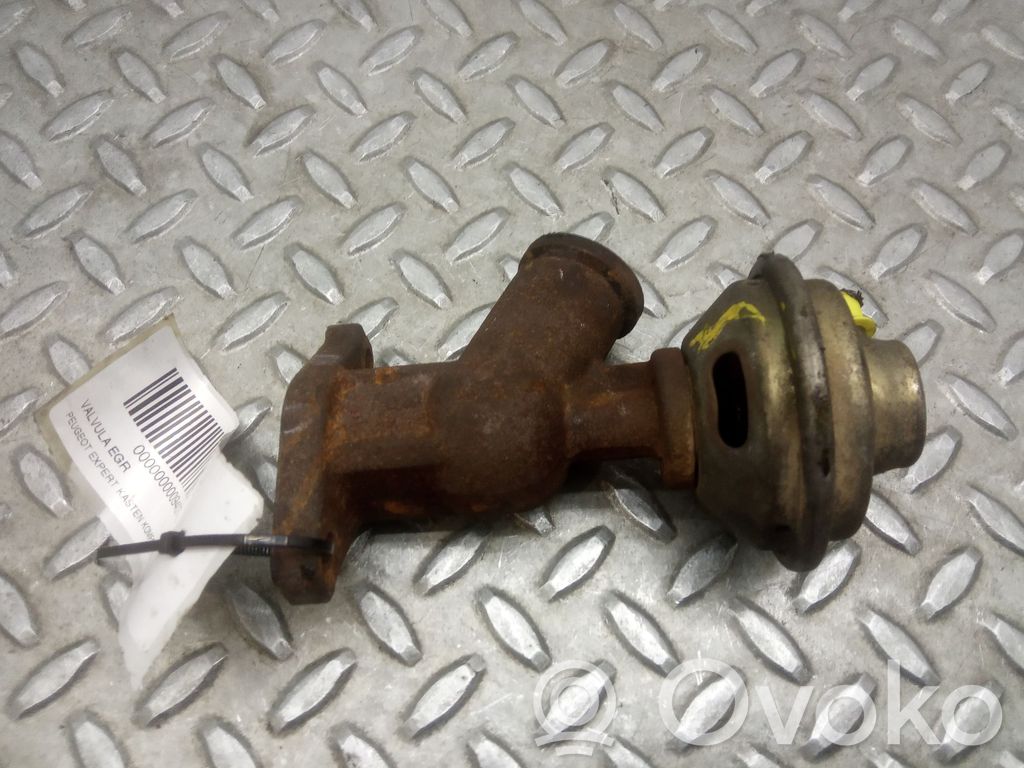 Peugeot Expert Valvola EGR 