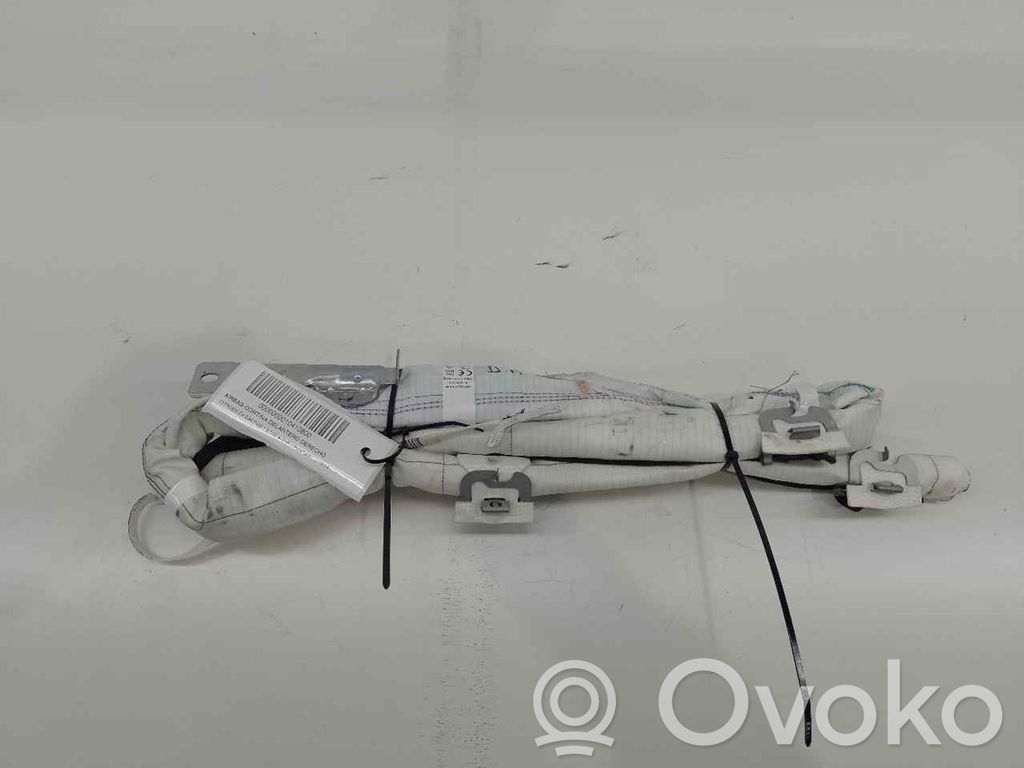 Citroen C4 Cactus Airbag de la puerta delantera 