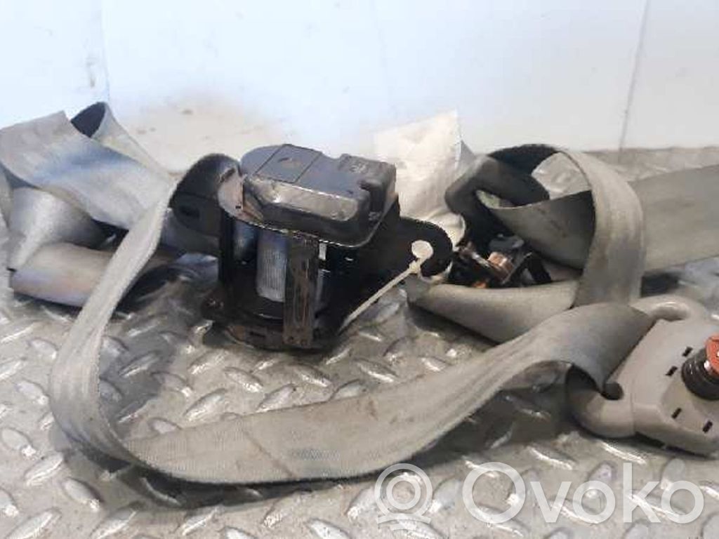 Cinturón trasero