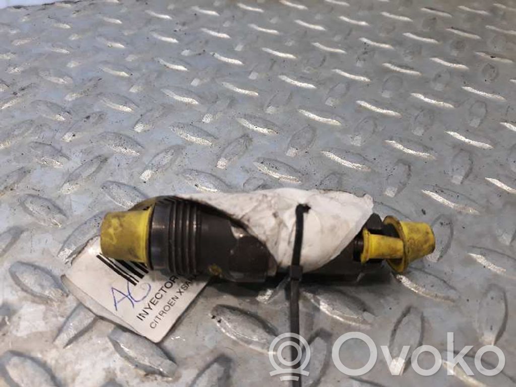 Citroen Xsara Injector combustibil 
