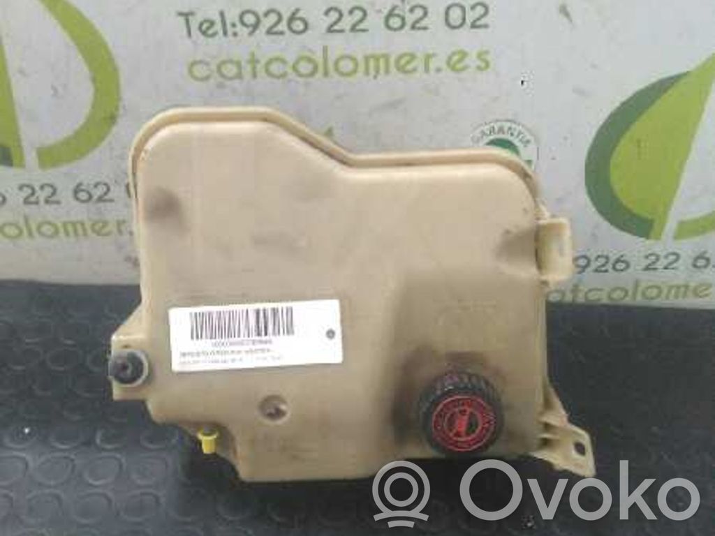 Citroen C5 Serbatoio/vaschetta del liquido del servosterzo 