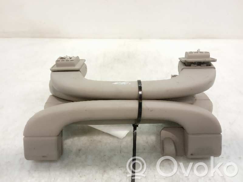 Asidero interior delantero