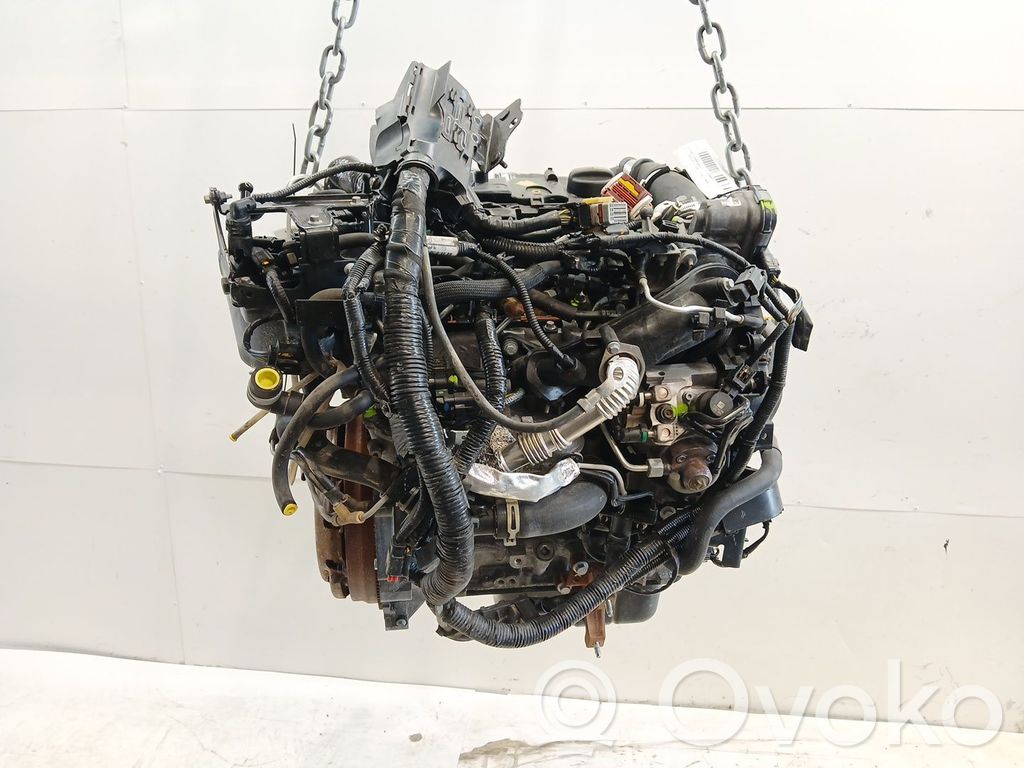 Motor