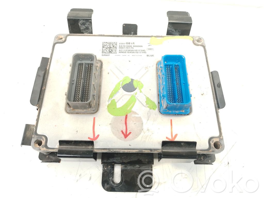 Opel Ampera Engine control unit/module 