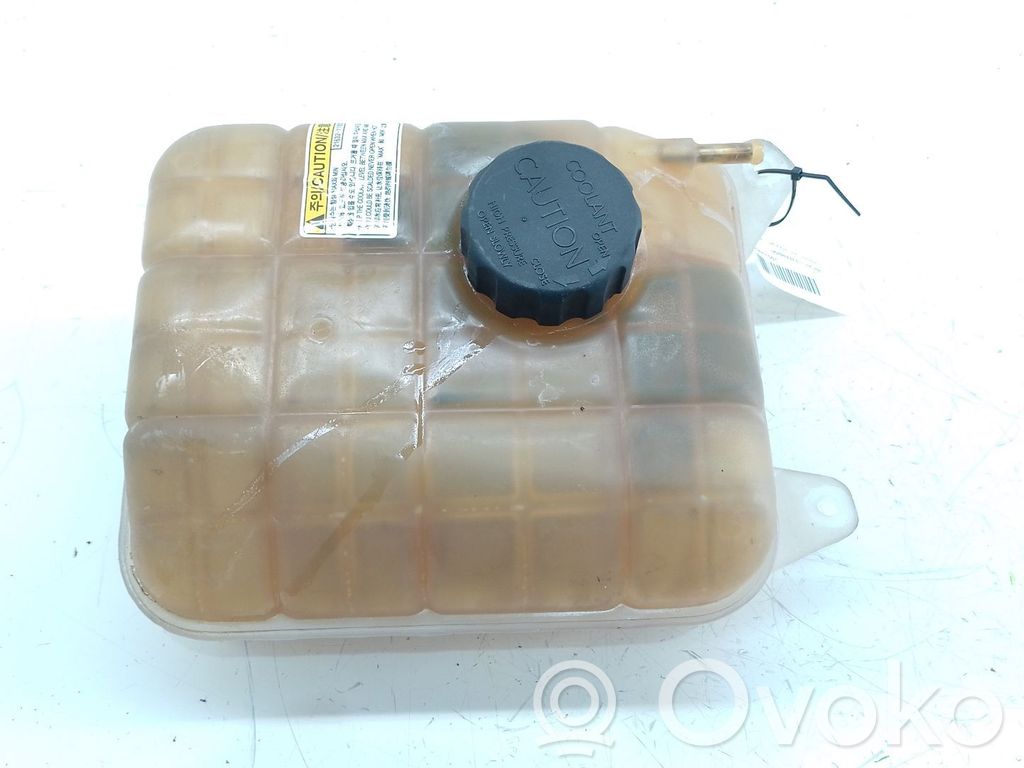 SsangYong Rodius Vaso di espansione carburante 