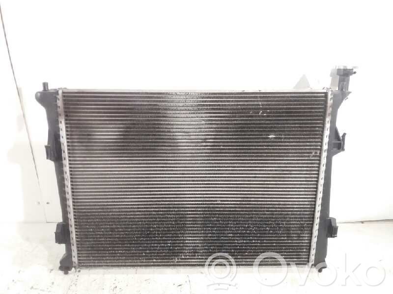 Radiatore di raffreddamento   253102R000,253101H000