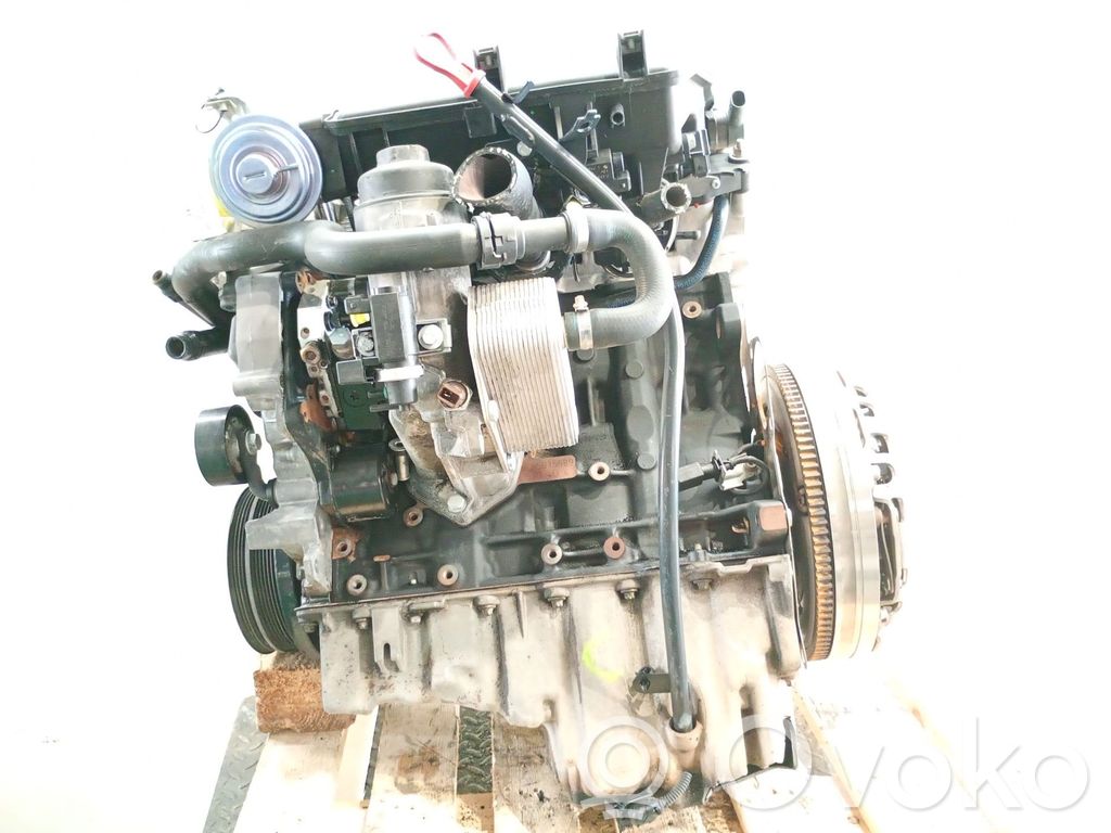 BMW 3 E46 Motor
