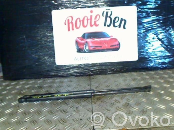 Tailgate/trunk strut/damper