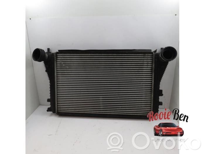 Volkswagen Golf V Chłodnica powietrza doładowującego / Intercooler 