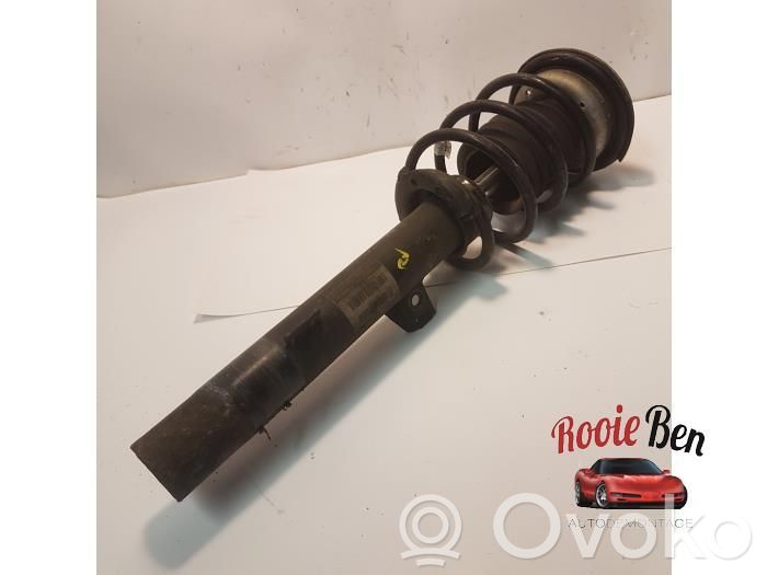Stoßdämpfer vorne   3131677172802,6771728