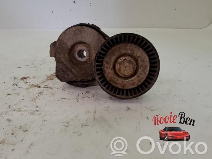 Ford F150 Generatoriaus diržo įtempėjas 