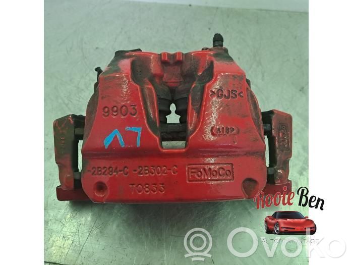 Bremssattel vorne   2B294C,2B302C