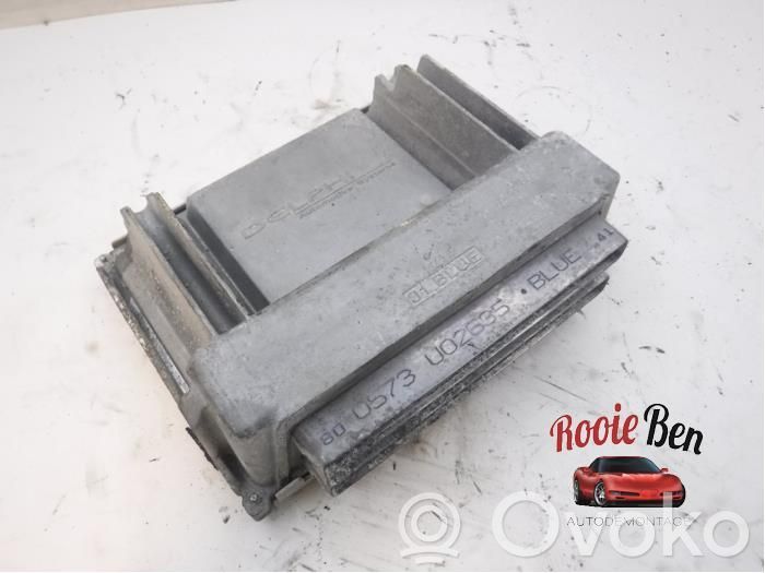 Chevrolet Trans Sport Engine control unit/module 
