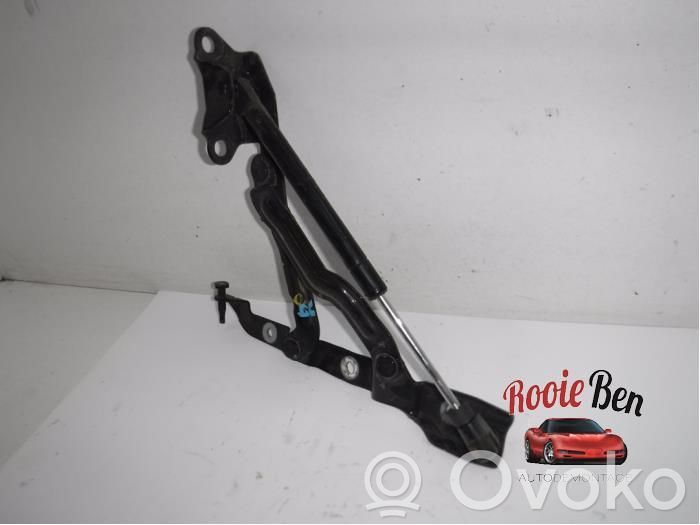 Tailgate/trunk/boot hinge   196AD,324ETA