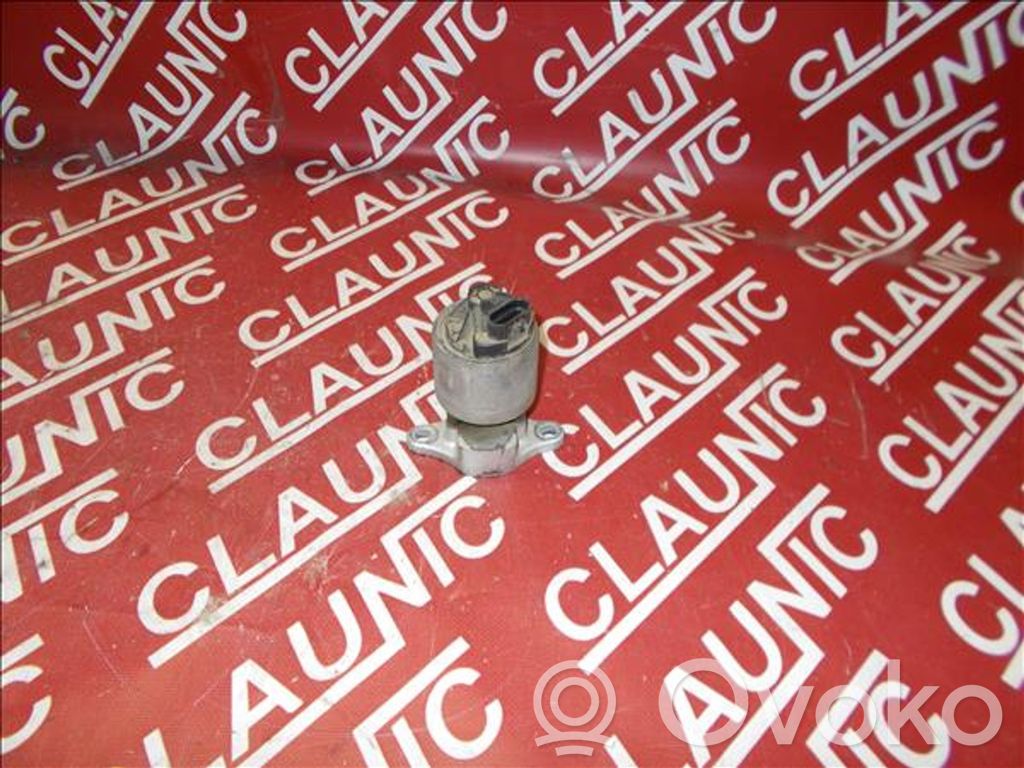 Valvola di raffreddamento EGR   DW0111710795