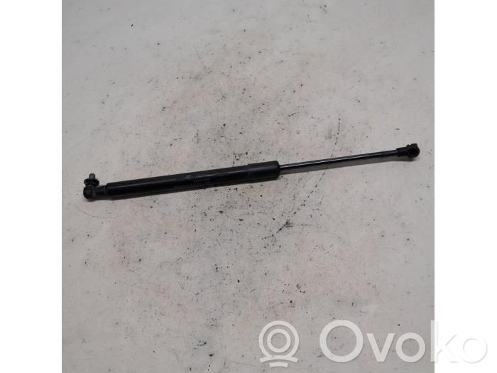 Tailgate/trunk strut/damper   904520004R,0390N,1607073880,831150,904520004R,950529