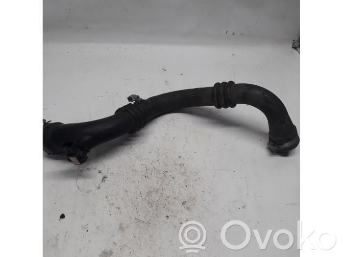 Renault Vel Satis Manguera/tubo del intercooler 