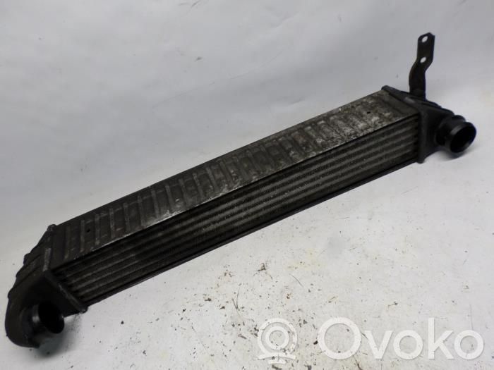 Seat Alhambra (Mk1) Intercooler radiator 