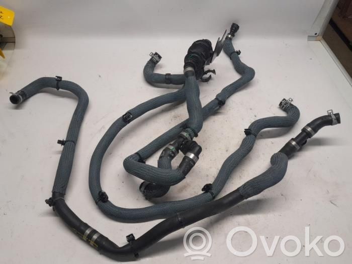 Renault Austral Termostatas 