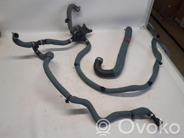 Renault Austral Termostatas 