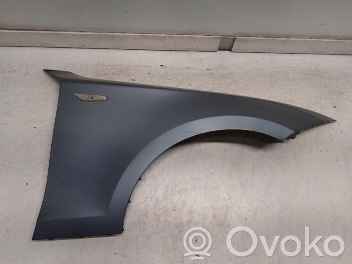 Arche d'aile avant   26550AX710,89030762,26550AX710,30501103,386078560,89030762