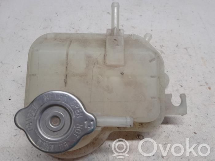 Dacia Spring Tapón del depósito de refrigerante 