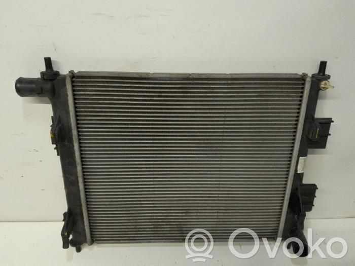 Hyundai i10 Coolant radiator 